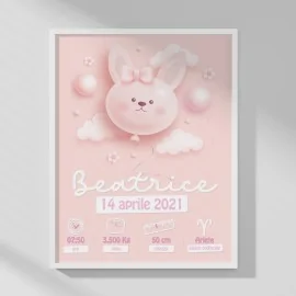 BABY MEISJE GEBOORTE FOTO - GEPERSONALISEERD - BUNNY BALLON