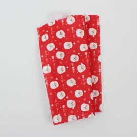 Pannolenci 20X30 Cm Babbo Natale Kit Risparmio Natale 10 Fogli|IDEEINFELTRO.COM