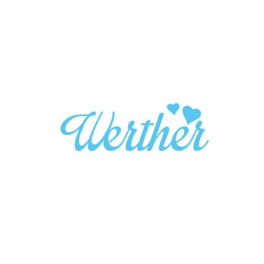 Custom felt name - werther