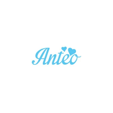 Aangepaste vilt naam - anteo