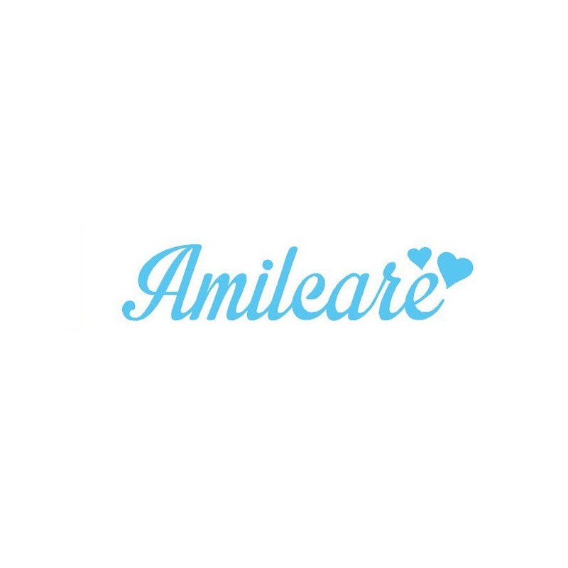 Nume fetru personalizat - amilcare